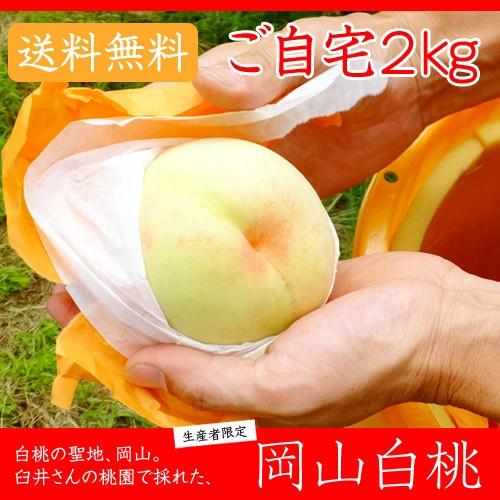 早期ご予約受付中 臼井桃園　岡山県産白桃　自宅用 2kg箱　生産者限定商品　訳あり品