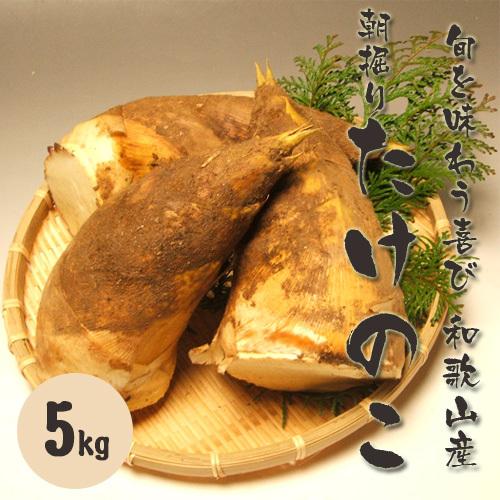 和歌山産　朝堀り筍（たけのこ）5kg 　ご予約送料無料　旬を味わう厳選品 　お花見やバーベキューもタ...