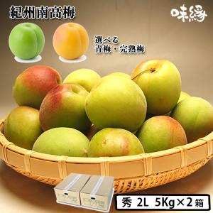 南高梅 完熟 本場紀州産 クール便 送料無料【 2L サイズ 10kg 】紀州南