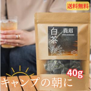 ホワイトティー 白牡丹茶餅 白茶 バイムータン : 中国貿易公司ctc