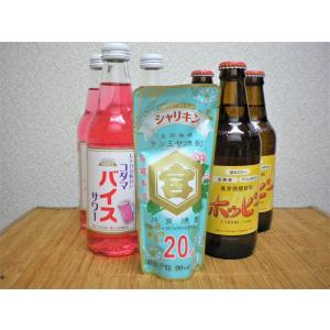焼酎 20°シャリキン90ml6袋 ホッピー 白330ml3本 バイスサワー340ml3本 セット 家飲み