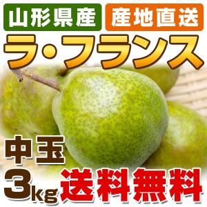 送料無料 ラ・フランス / ラフランス (洋梨) 山形県産 中玉 3kg箱 (11〜13玉入) [化粧箱入り] お歳暮 御歳暮 お年賀 御年賀 贈答 【常温便】｜ajinoumebachi