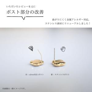 ピアス ajiro accessory イヤリ...の詳細画像1