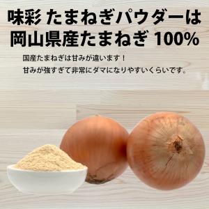 玉ねぎパウダー たまねぎ オニオン 味彩 たま...の詳細画像2