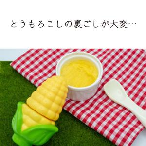 とうもろこしパウダー とうもろこし粉末 離乳食...の詳細画像1