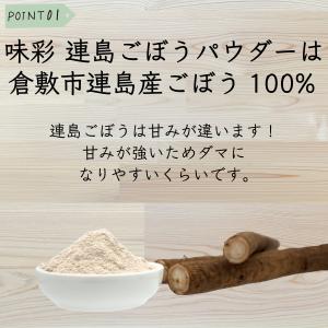 ごぼうパウダー ごぼう粉末 ごぼう 味彩 ごぼ...の詳細画像3