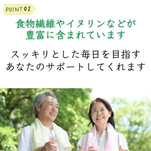 ごぼうパウダー ごぼう粉末 ごぼう 味彩 ごぼ...の詳細画像4
