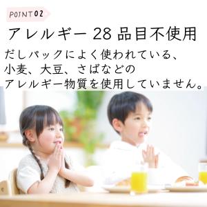 だしパック 無添加 国産 日々のおだし 8g×...の詳細画像4