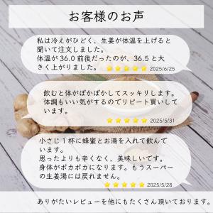 生姜パウダー 無添加 蒸し生姜 味彩 しょうが...の詳細画像3