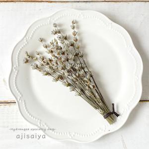 北海道富良野産 白いラベンダー ドライフラワーの商品画像