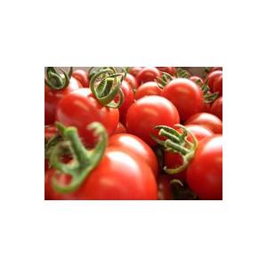 【和歌山県産】高糖度完熟ミニトマト 2kg