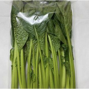 サラダ小松菜　2束　