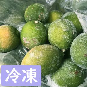訳あり 冷凍レモン 3kg 【和歌山県産】｜ajisaku