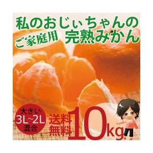 私のおじぃちゃんの完熟みかん10kg 3L〜2Lサイズ混合ご家庭用【和歌山県産】【温州】｜ajisaku