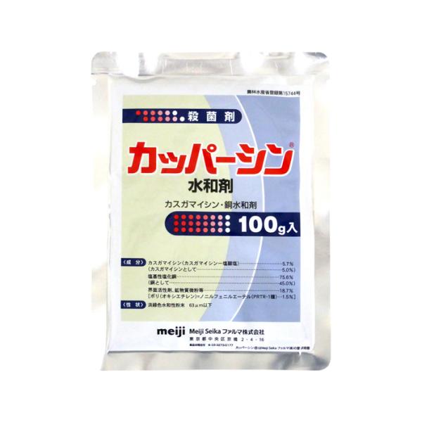 カッパーシン水和剤　100g　【ネコポス発送可（6個まで／メール便）】