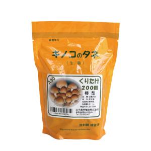 キノコのタネ　くりたけ菌 500駒　種駒　種菌