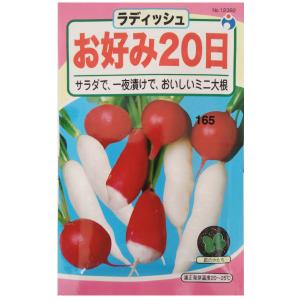 ダイコン ラディッシュ お好み20日大根【ウタネ...の商品画像