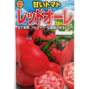 トマト 甘いトマト レッドオーレ 【アタリヤ】 【（10個まで）】の商品画像