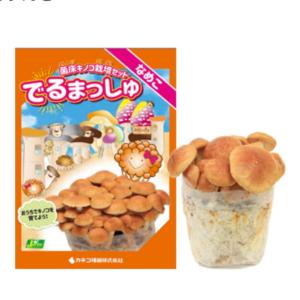 【菌床きのこ栽培セット】 でるまっしゅ なめこ 【カネコ種苗】の商品画像