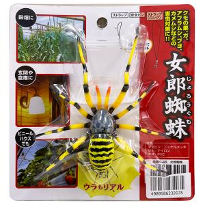 龍宝丸　女郎蜘蛛　M-46　害虫対策　天敵効果　農薬不使用　｜ajiwainoasa