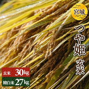 つや姫　玄米30kg or 精白米27kg　宮城県産　令和5年産　検査一等米