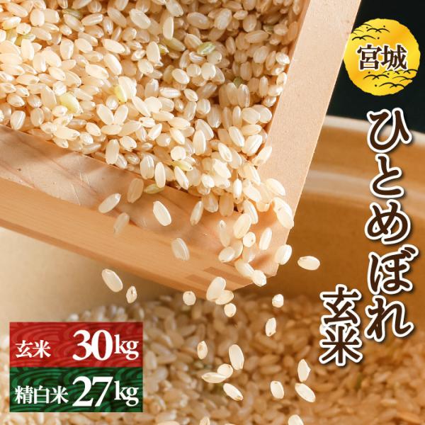 ひとめぼれ　玄米30kg or 精白米27kg　宮城県産　令和5年産