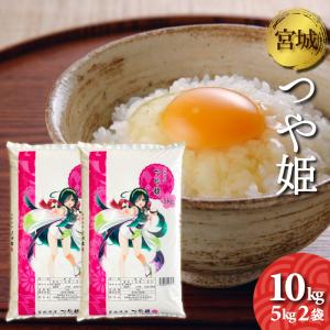 宮城県産　つや姫　10kg（5kg2袋）　令和5年産　宮城のお米　10キロ　精米　白米　