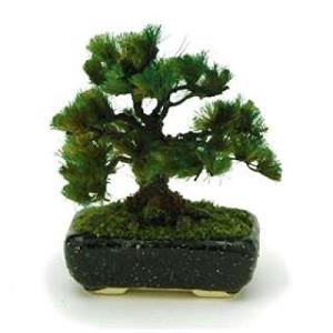プラッツ 1/ 12 THE BONSAI 角鉢松塗装済完成品 返品種別B