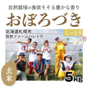 日本の銘米 【自然栽培のお米】精米20kg「コシヒカリ」(石川県七尾市