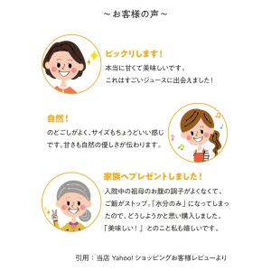 (1本入)奇跡のリンゴと自然栽培にんじんのミッ...の詳細画像4