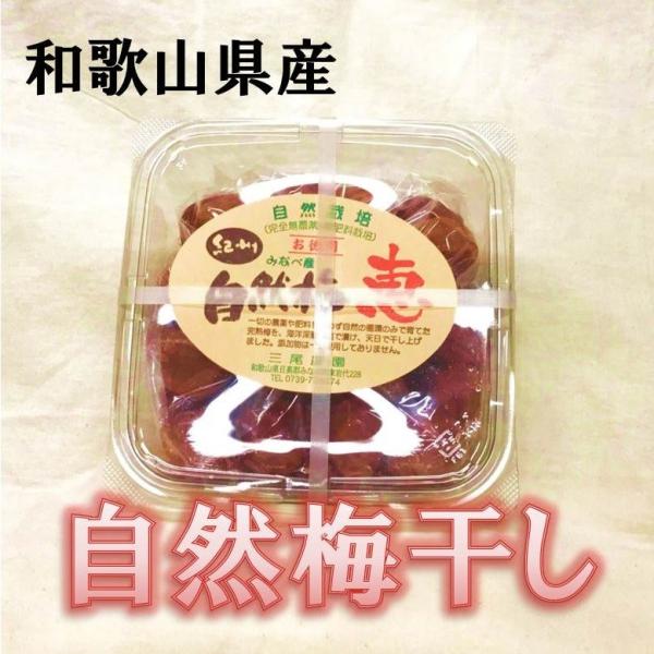 自然梅干しお徳用500g 「恵」(和歌山県）自然栽培梅使用