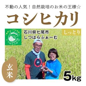 種から育てた美味しいお米　農家直送　自然栽培　コシヒカリ　七分つき　20キロ 日本の銘米 【自然栽培のお米】精米20kg「コシヒカリ」(石川県七尾市
