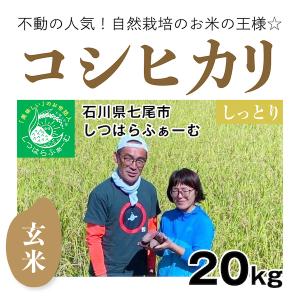 日本の銘米 【自然栽培のお米】精米20kg「コシヒカリ」(石川県七尾市