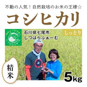 石川県産コシヒカリ 20kg 玄米 日本の銘米 【自然栽培のお米】精米20kg「コシヒカリ」(石川県七尾市