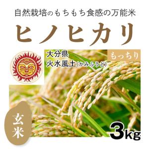 ヒノヒカリ 【自然栽培のお米】精米20kg「ヒノヒカリ」(大分県)火水