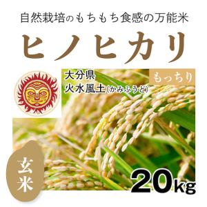 ヒノヒカリ 【自然栽培のお米】精米20kg「ヒノヒカリ」(大分県)火水