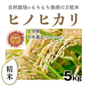 【精米5kg】自然栽培のヒノヒカリ 大分県「火水風土」・お米...