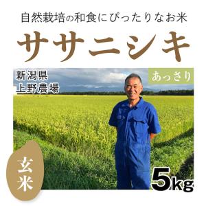 【自然栽培のお米/令和5年産】玄米5kg「ササニシキ」(新潟県)上野農場 米　お米　無施肥　自然栽培　