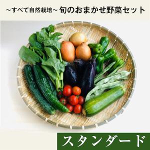 〜すべて自然栽培〜旬のおまかせ野菜セット　スタンダード　７〜10種類　自然栽培野菜　無農薬　無施肥