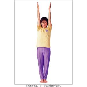 気力充実 健康体操 自彊術 実践編 DVD - 最安値・価格比較 - Yahoo