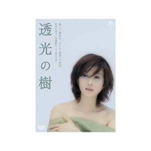 透光の樹 DVD - 最安値・価格比較 - Yahoo!ショッピング