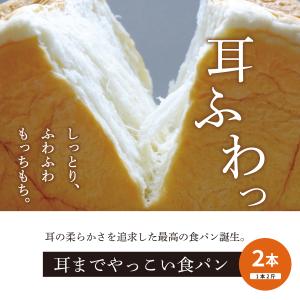 ぱん工房あかべこ　耳までやっこい食パン 1本（2斤）×2本　国産原料　焼き上げた当日発送　トースト　朝食　もちもち　しっとり　