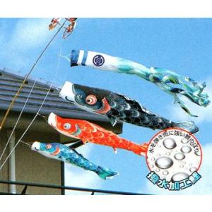 江戸6m5色・瑞祥吹流しセット こいのぼり 鯉のぼり 江戸錦鯉 瑞祥吹流し〈20号〉Cタイプスタンド付ホームセット（水袋付