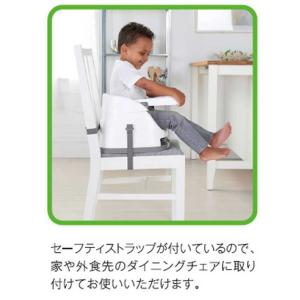 インジェニュイティ(ingenuity) ベビ...の詳細画像3