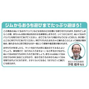 てあそびいっぱい!おうちにへんしんジム / く...の詳細画像4