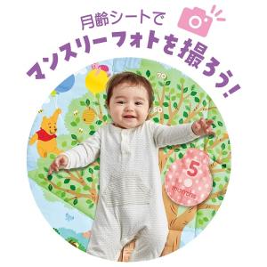 てあそびいっぱい!おうちにへんしんジム / く...の詳細画像5