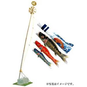 江戸錦鯉 瑞祥吹流し〈20号〉Cタイプスタンド付ホームセット（水袋付