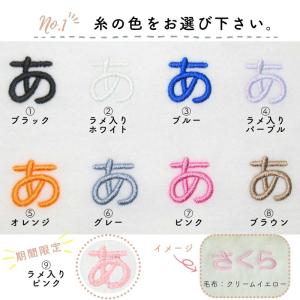 毛布、ガーゼケット専用『刺しゅうオーダー専用』...の詳細画像3