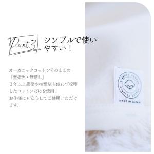 オーガニックコットン ジュニア毛布 日本製 1...の詳細画像4
