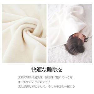 オーガニックコットン ジュニア毛布 日本製 1...の詳細画像5